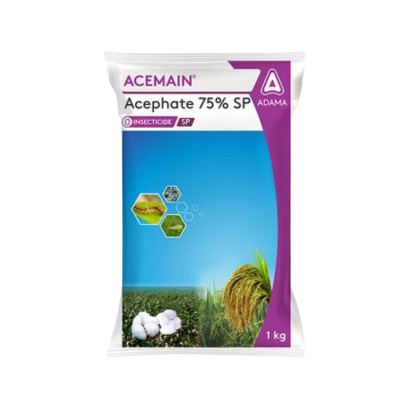 Acemain