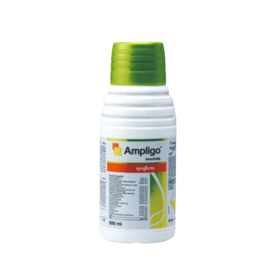 Ampligo