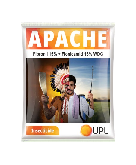 Apache