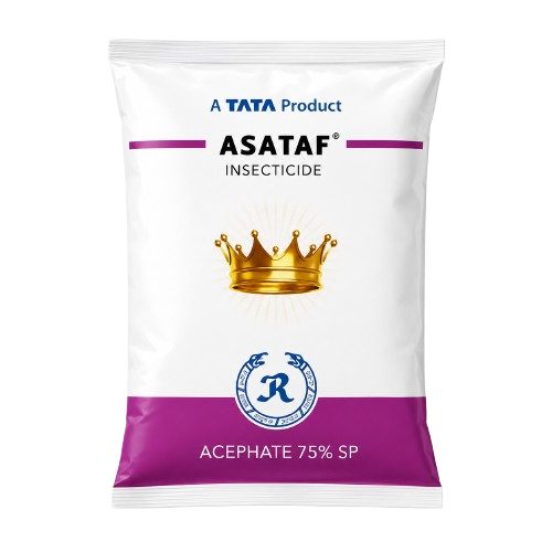 Asataf