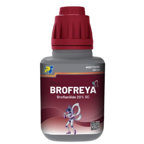 Brofreya