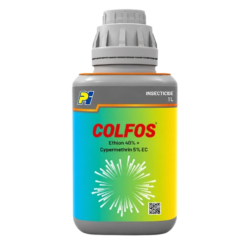 COLFOS