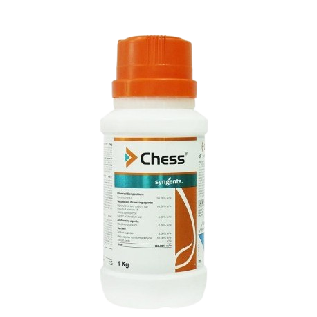 Chess