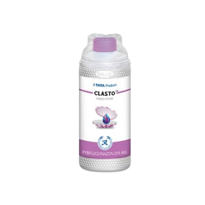 Clasto
