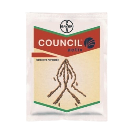 Council Active