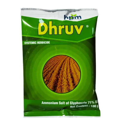 Dhruv