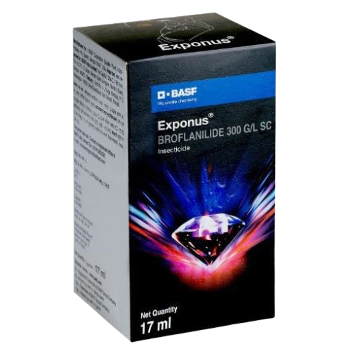 Exponus