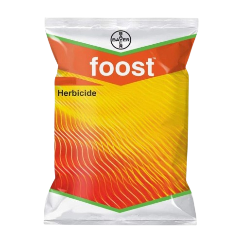 Foost