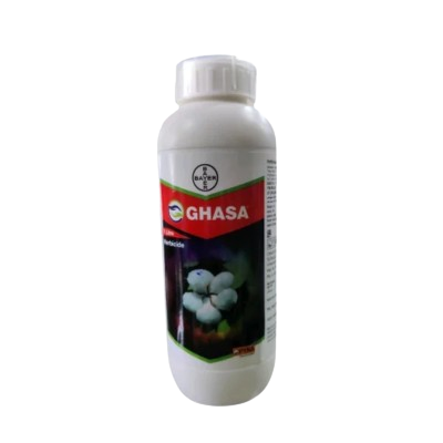 Ghasa