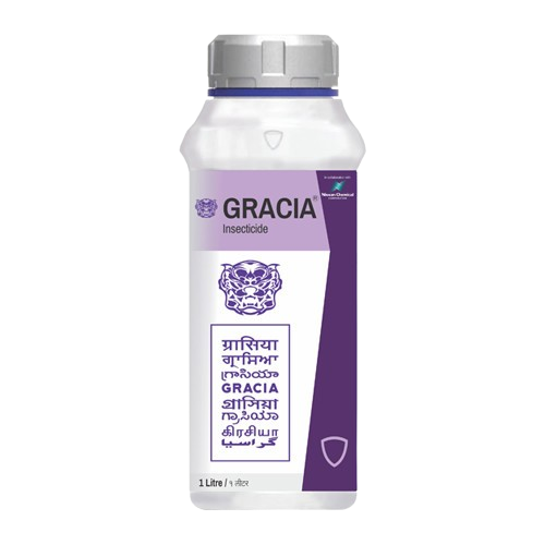 Gracia