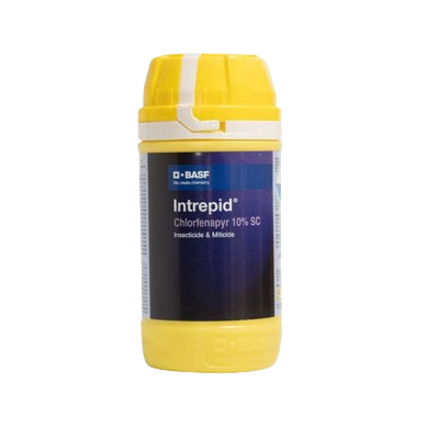 Interprid