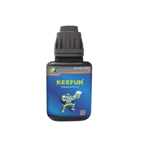 Keefun