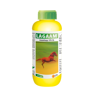 Lagaam