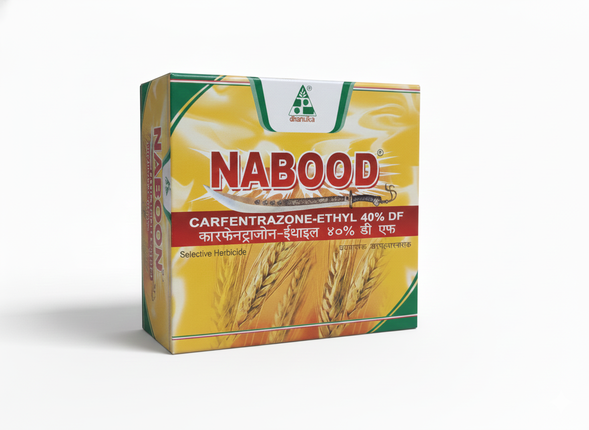 Nabood