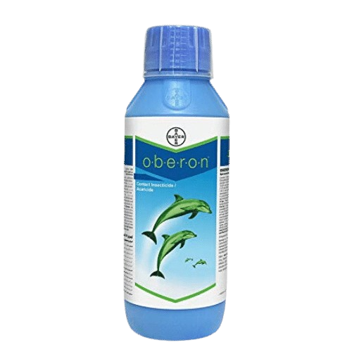 Oberon