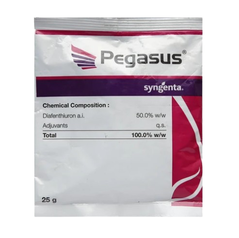 Pegasus