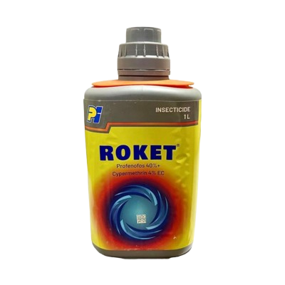 Roket