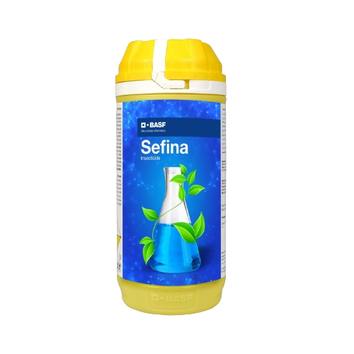 Sefina
