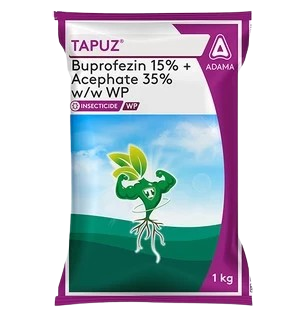 Tapuz