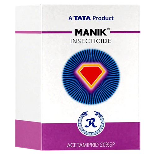 Tata Manik