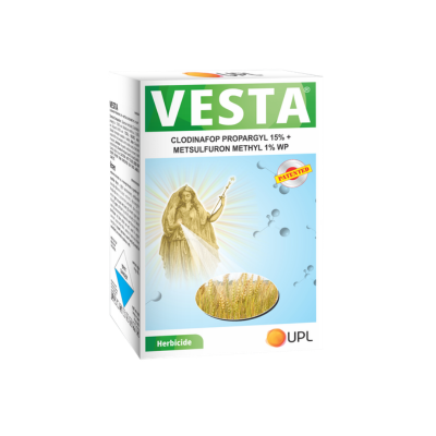 Vesta
