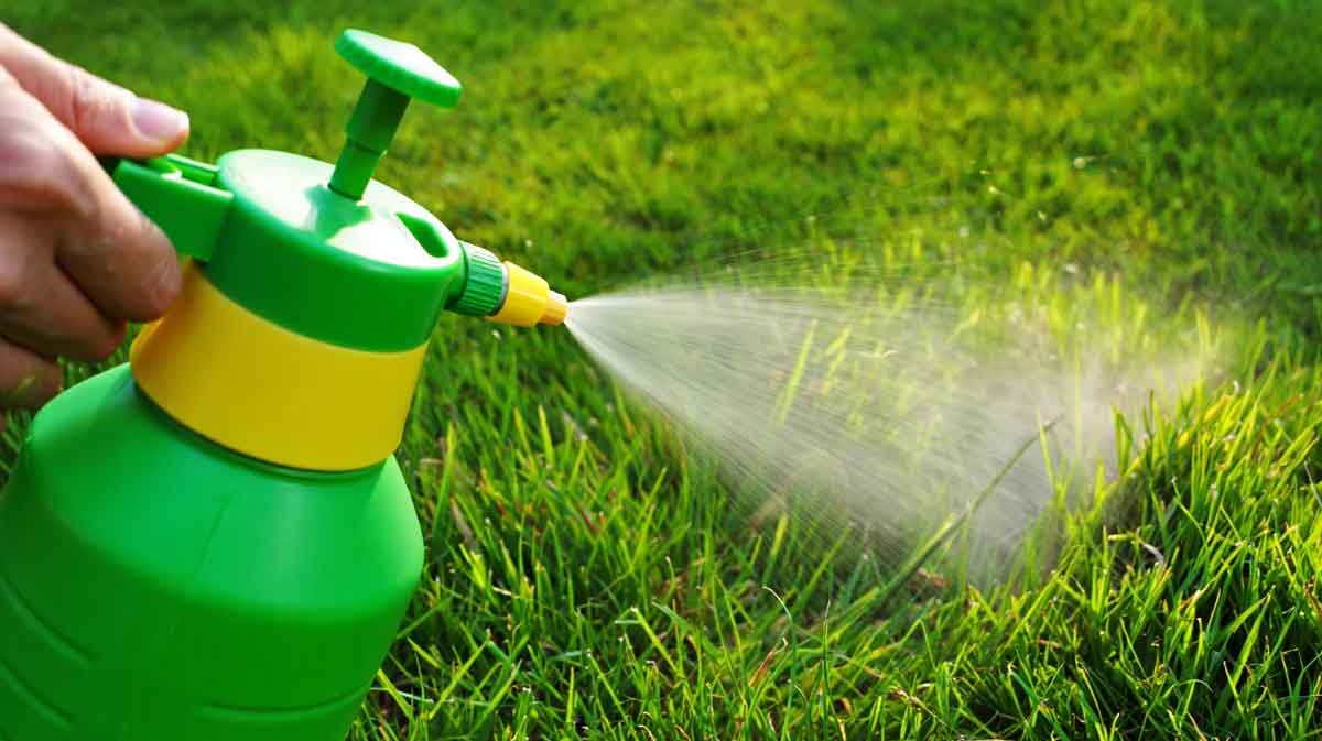 herbicide